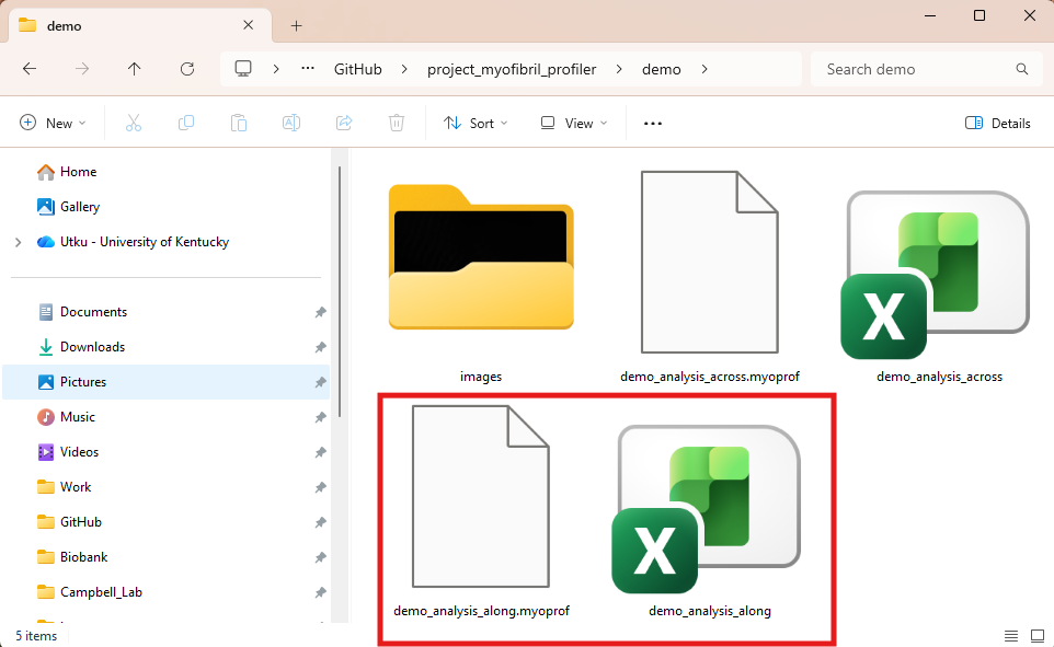 saved_files