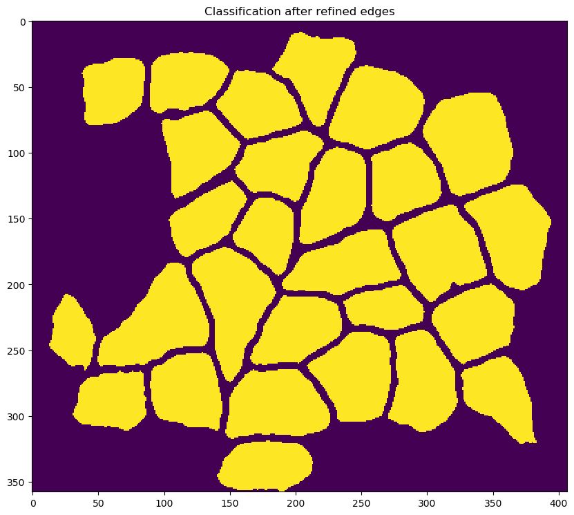 step_11_classification_after_refined_edges.png