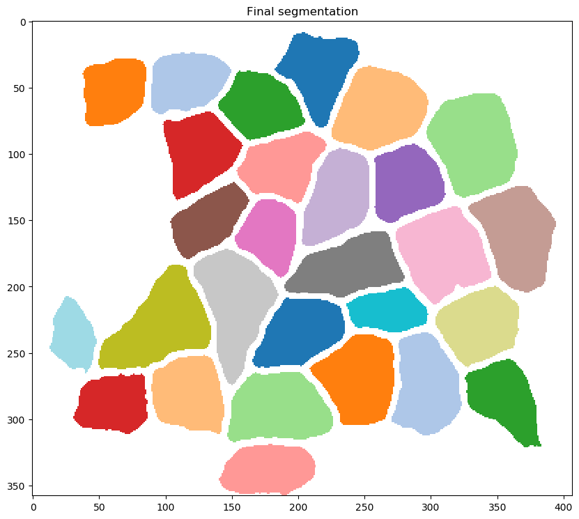 step_12_final_segmentation.png