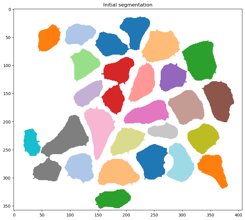 step_3_initial_segmentation.png