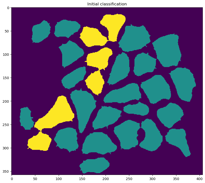 step_4_initial_classification.png