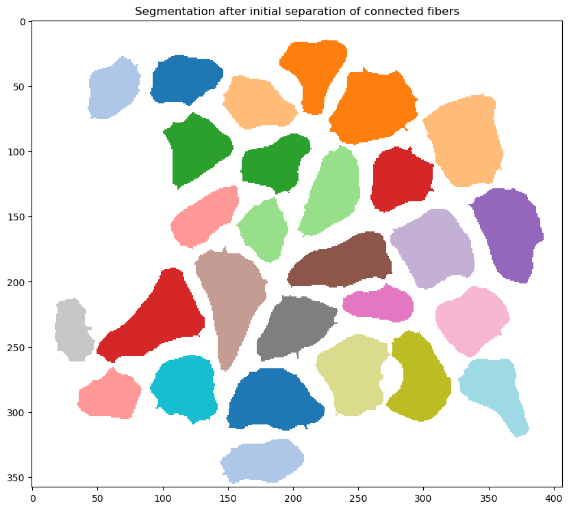 step_5_segmention_after_initial_separation_of_connected_fibers.png