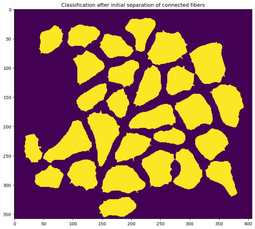 step_6_classification_after_initial_separation_of_connected_fibers.png